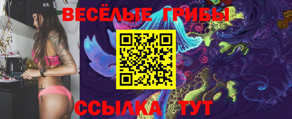 Псилоцибиновые грибы GOLDEN TEACHER  Псилоцибиновые грибы мухоморы  Вход с VPN  Волгоград 